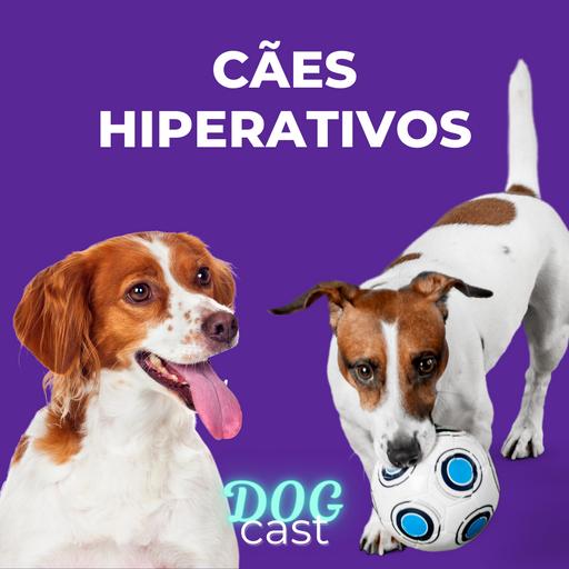 #25 - CÃES HIPERATIVOS