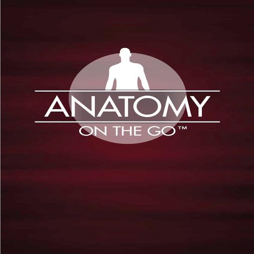 Episode 71: Special Regions in the Upper Limb