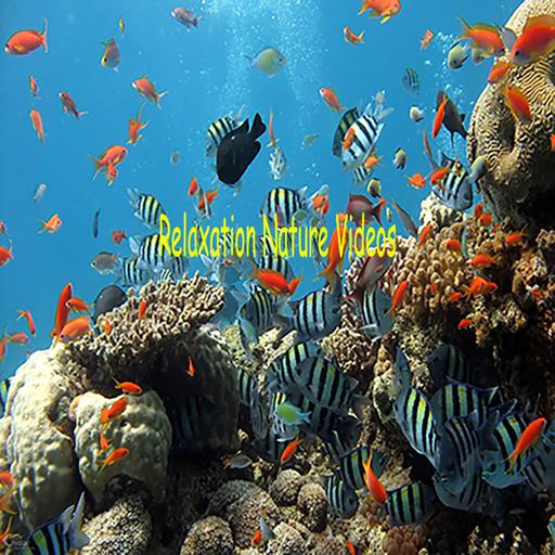 SPECIAL ANNOUNCEMENT...Relax Nature Videos YouTube Channel