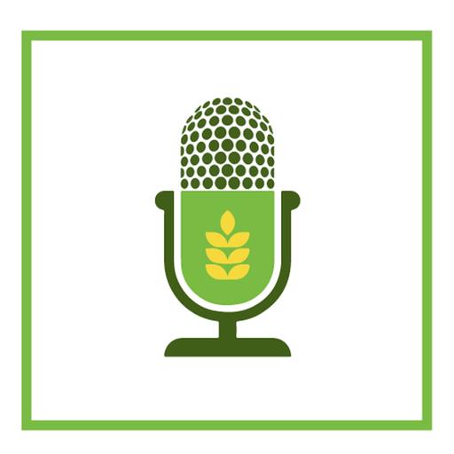 Episode 32: Breeding for wheat stem sawfly resistance in spring wheat – Dr. Richard Cuthbert (AAFC Swift Current)