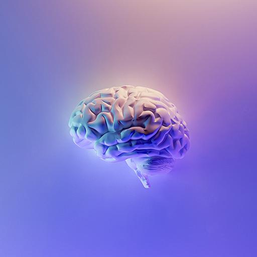 Modello 3D del cervello - Ma tu chi sei
