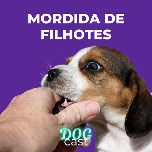 #26 - MORDIDA DE FILHOTES