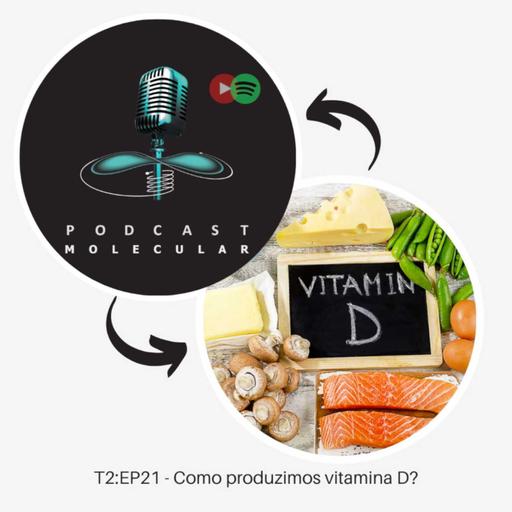 T2: EP21 – Como produzimos vitamina D?
