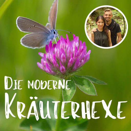 Mehr Wildkräuter - mehr Insekten
