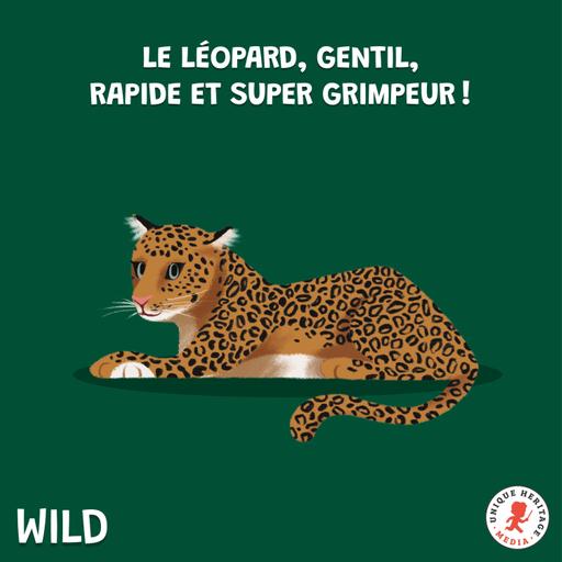 Le Léopard, gentil, rapide et super grimpeur !