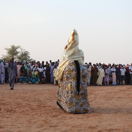 NEEM FONDATION: Sécurité dans le bassin du lac Tchad : Il est temps de dire la vérité-EPISODE 02