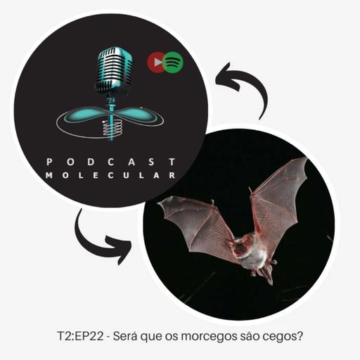 Podcast Molecular - T2: EP22 – Será que os morcegos são cegos?