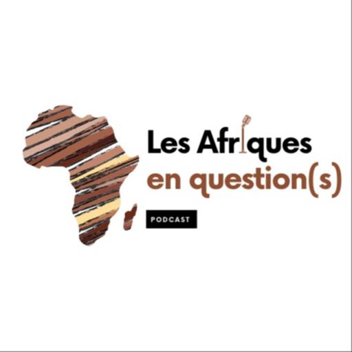Les Tirailleurs Sénégalais en Question(s)