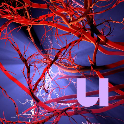 510. Hoe kweken wetenschappers bloedvaten in een potje?