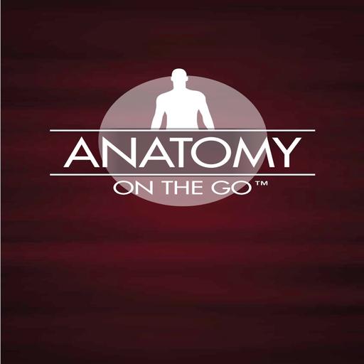 Episode 74: Pathways of Brachial Plexus Nerves