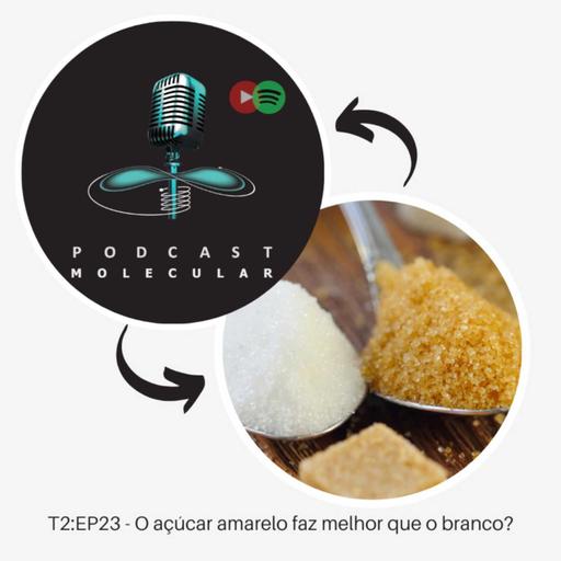 T2: EP23 – O açúcar amarelo faz melhor que o branco?