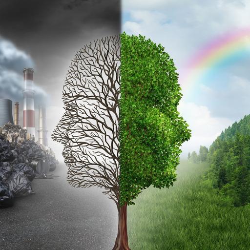 Wwf, in Italia il 68% degli ecosistemi è a rischio