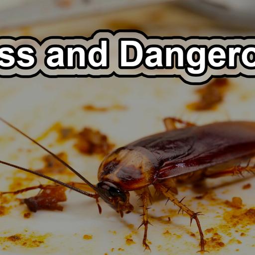 5 Gross Cockroach Facts