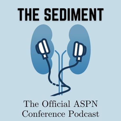 The Sediment Episode 1: Look how far we have come, look how far we still need to go: The Ethics of caring for Neonatal Kidneys