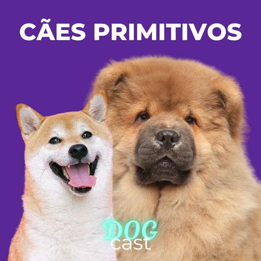 #28 - CÃES PRIMITIVOS