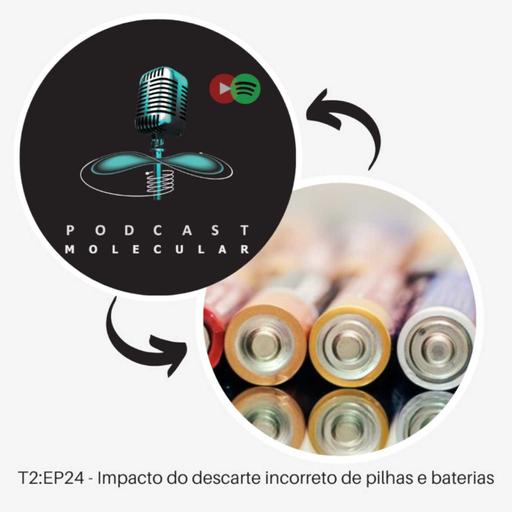 T2: EP24 – Impacto do descarte incorreto de pilhas e baterias
