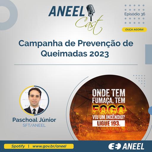 Episódio 36 – Campanha de Prevenção de Desligamentos por Queimadas 2023