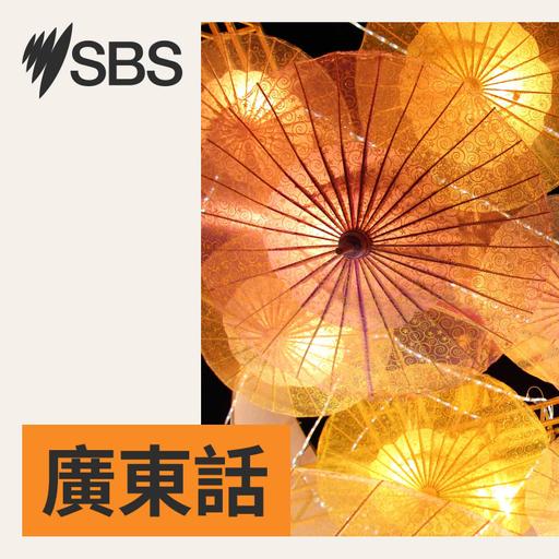SBS 新聞簡報（6月8日）