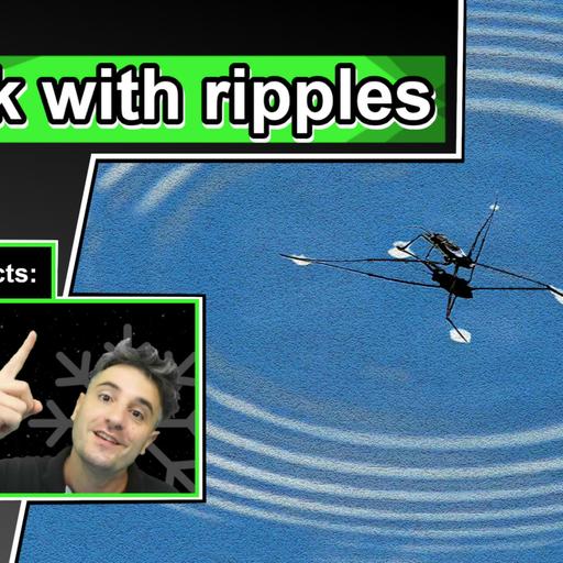 10 Cool Water Strider Facts