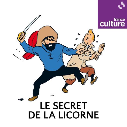 Le Secret de la Licorne : les Aventures de Tintin 1/4 : Une étrange coïncidence