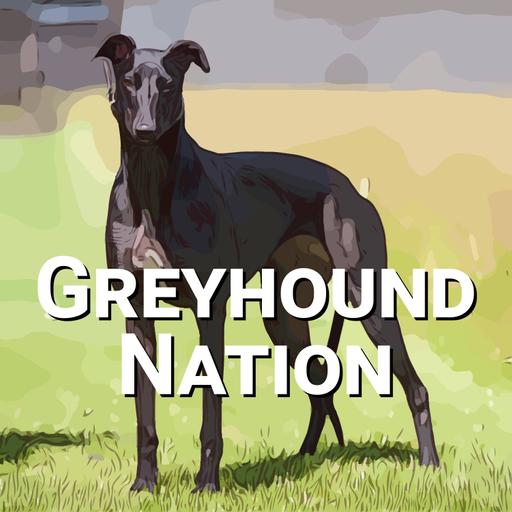 Virtual Launch: Charlie Blanning’s First Greyhound Novel, “Rags to Riches”