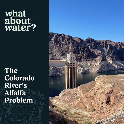 The Colorado River's Alfalfa Problem