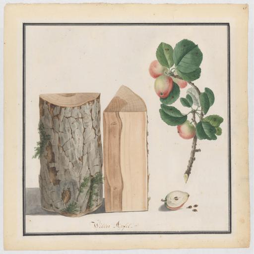64 – “Fruitful Seasons of Work”