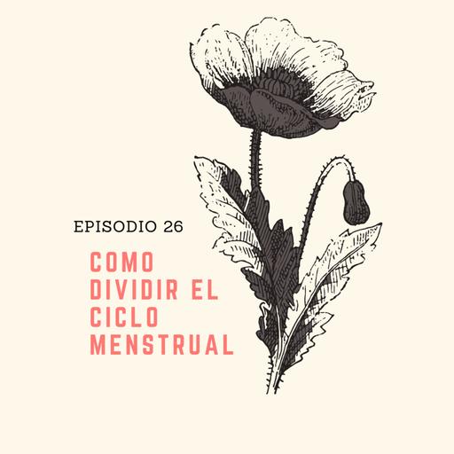 26 Cómo dividir el ciclo menstrual
