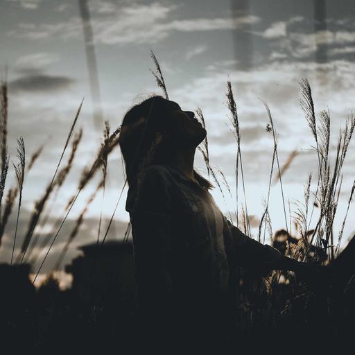 Reflection 227- Human Plans are Thwarted