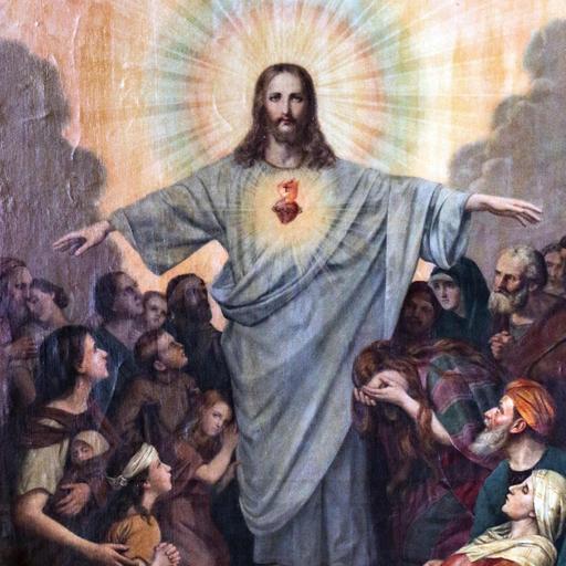 Reflection 226- The Good Fruit of Mercy