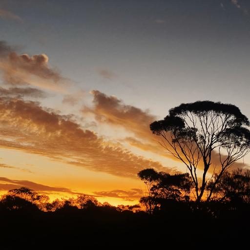 An hour before dawn in arid WA