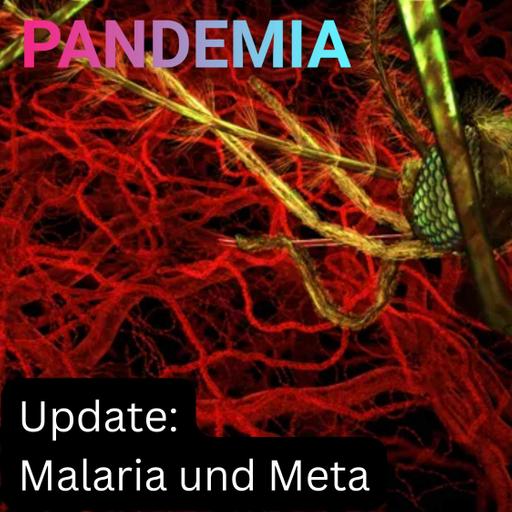 Update | Malaria und Meta