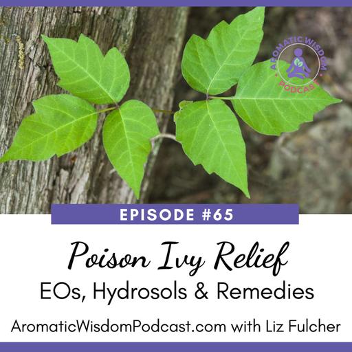 65: Poison Ivy Relief with Essential Oils and Hydrosols