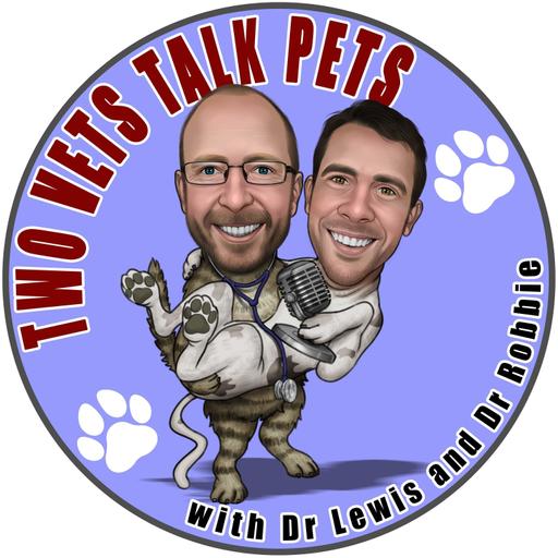 #208 Getting a New Puppy and Choosing a Breeder; Teeth Issues in Puppies, Microscopes In-Clinic Part 2 & Medicating Cat Tips