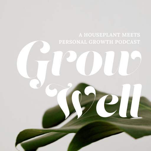 056. How to Grow Succulents in Your Home