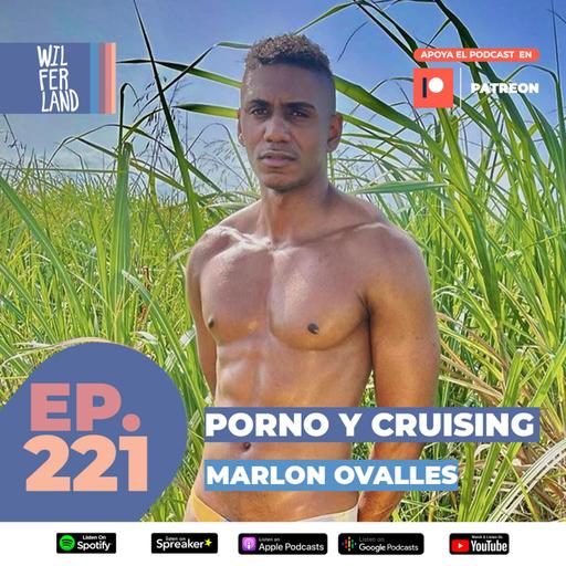 PORNO Y CRUISING