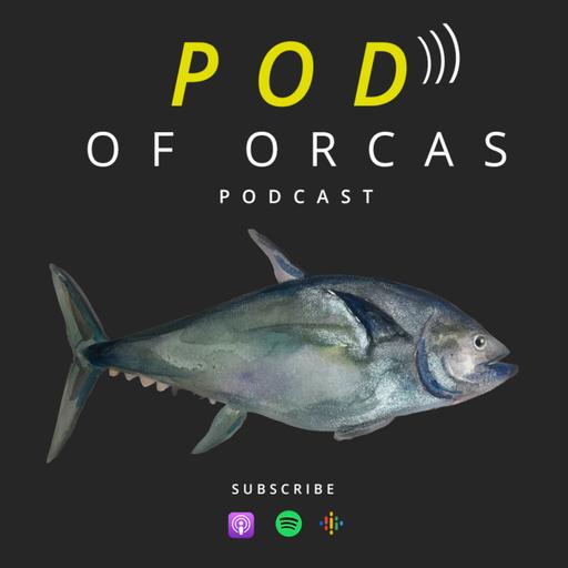 13. A 250-pound Bluefin tuna mysteriously washed up on Orcas Island. Why?