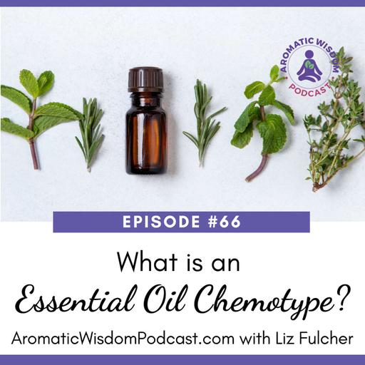 66: What is an Essential Oil Chemotype?