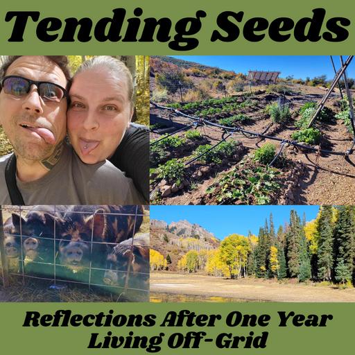 Ep 52 - Reflections After One Year Living Off-Grid