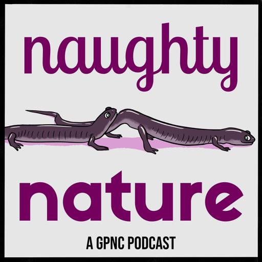 S1E8 -Nature's Beer Stein