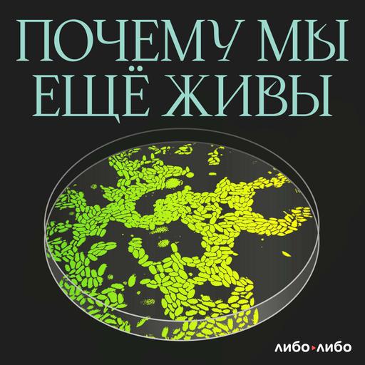 Не царское это дело: история гемофилии без мифов