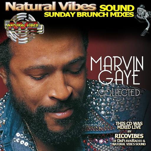 NATURAL VIBES SOUND PRESENTS MARVIN GAYE COLLECTED