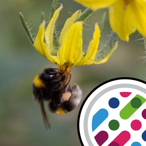 Bees can't taste pesticides, and how albatrosses get aloft