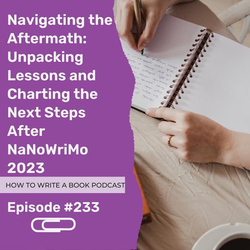 233: Navigating the Aftermath: Unpacking Lessons and Charting the Next Steps After NaNoWriMo 2023 [NANOWRIMO Day 30]