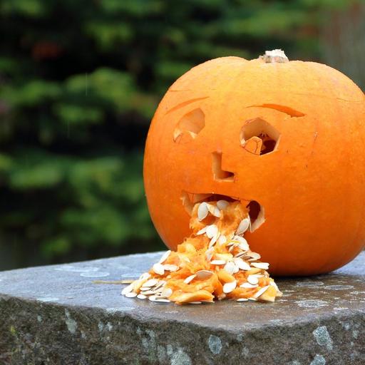 Why do we throw up and what is puke?