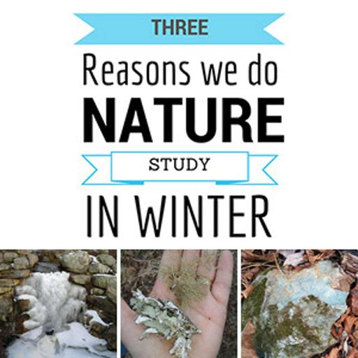 3 Reasons We Continue To Do Nature Study During the Winter Months {Audio-blog from Elemental Science}