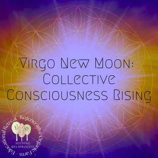 Virgo New Moon: Collective Consciousness Rising