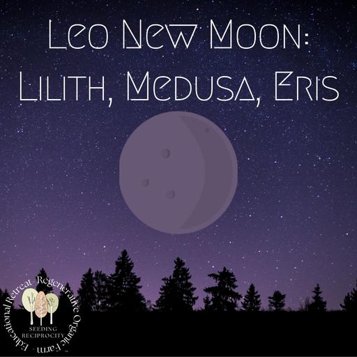 Leo New Moon: Lilith, Medusa, Eris