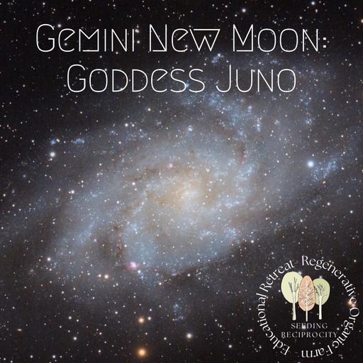 Gemini New Moon: Goddess Juno