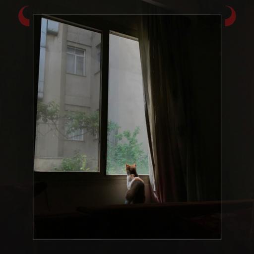 اپیزود چهلم: خانه‌ای که به سینه می‌فشارم